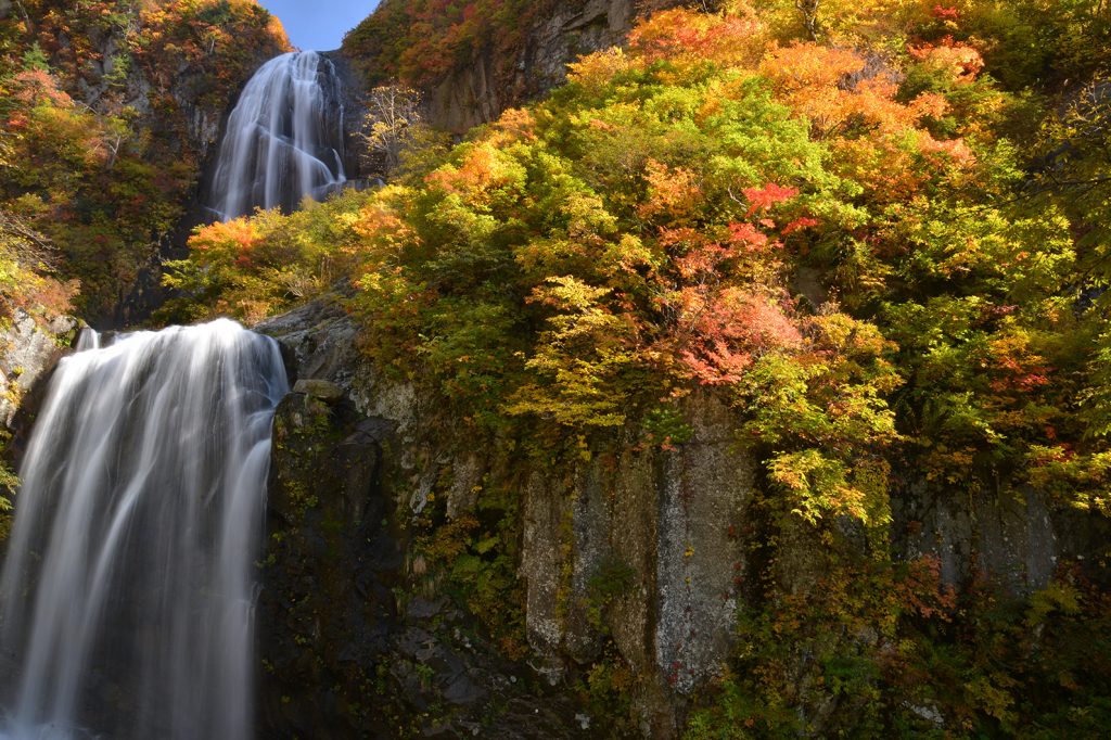 紅葉と滝